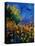 Summer Landscape 459090-Pol Ledent-Stretched Canvas