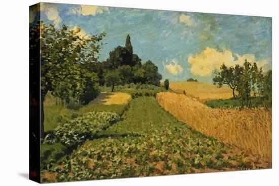 Summer Landscape (Cornfields at Argenteuil), 1873-Alfred Sisley-Premier Image Canvas