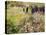 Summer Landscape-Pierre-Auguste Renoir-Premier Image Canvas