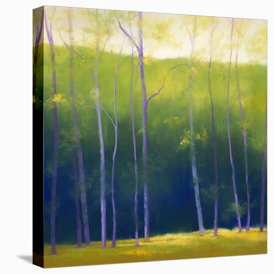 Summer Leaves-Teri Jonas-Premier Image Canvas