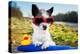 Summer Love Dog-Javier Brosch-Premier Image Canvas