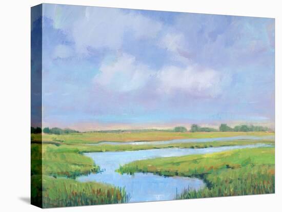 Summer Marsh II-Tim OToole-Stretched Canvas