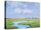 Summer Marsh II-Tim OToole-Stretched Canvas