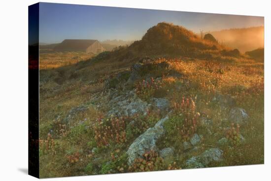 Summer Morning Light at Sea Ranch-Vincent James-Premier Image Canvas