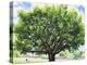 Summer Oak Tree-Christopher Ryland-Premier Image Canvas