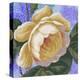 Summer Ombre Rose Yellow-Bill Jackson-Premier Image Canvas