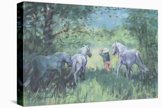 Summer Ponies-Jennifer Wright-Premier Image Canvas