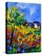 Summer Poppies 673180-Pol Ledent-Stretched Canvas