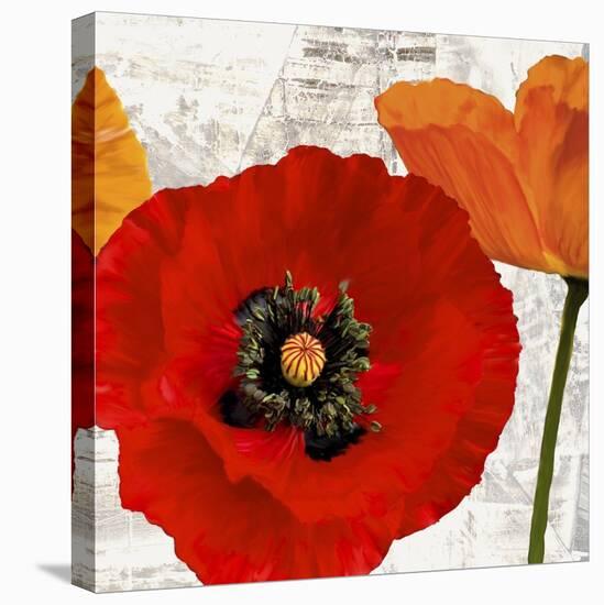 Summer Poppies III-Jenny Thomlinson-Stretched Canvas