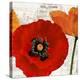 Summer Poppies III-Jenny Thomlinson-Stretched Canvas