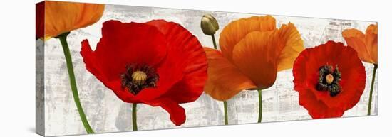 Summer Poppies-Jenny Thomlinson-Stretched Canvas