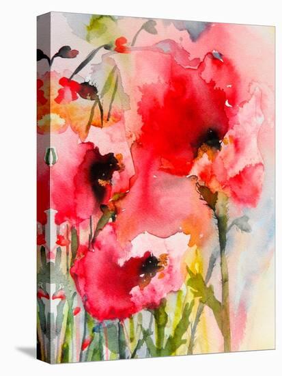 Summer Poppies-Karin Johannesson-Stretched Canvas