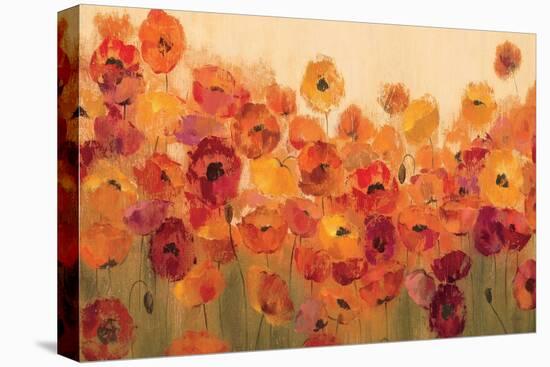 Summer Poppies-Silvia Vassileva-Stretched Canvas