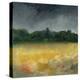 Summer Rain-Bill Philip-Stretched Canvas