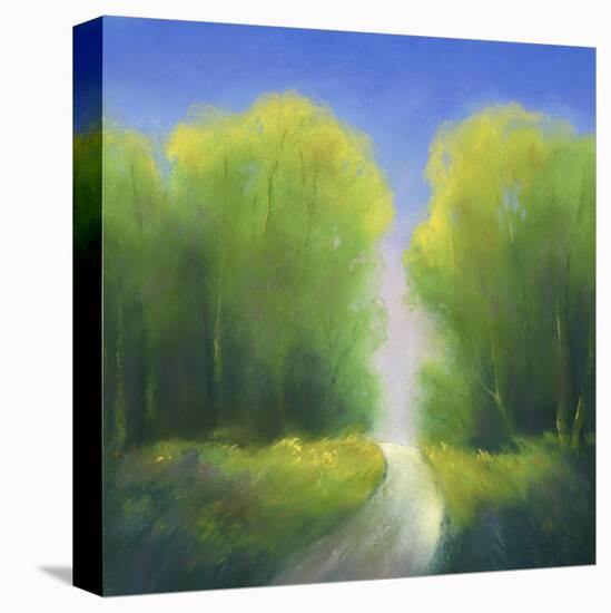 Summer Road-Teri Jonas-Premier Image Canvas