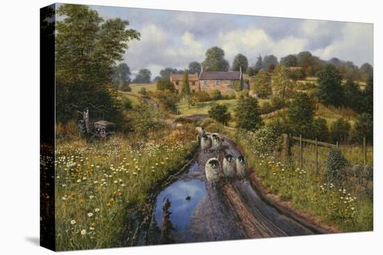 Summer Showers-Bill Makinson-Premier Image Canvas