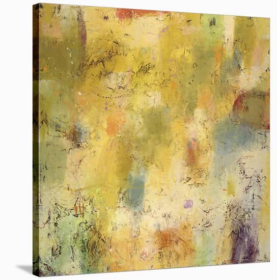 Summer Spectrum-Jeannie Sellmer-Stretched Canvas