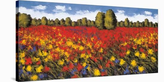 Summer Splendor-Wayne Leidenfrost-Stretched Canvas