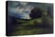 Summer Storm, 1903-Thomas Moran-Premier Image Canvas