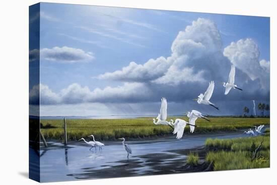 Summer Storm Egrets-Wilhelm Goebel-Premier Image Canvas