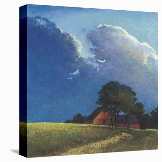 Summer Storm-Sandy Wadlington-Stretched Canvas