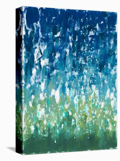 Summer Storm-Rob Delamater-Stretched Canvas