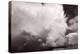 Summer Storm-Steve Gadomski-Premier Image Canvas