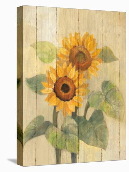 Summer Sunflowers I on Barn Board-Albena Hristova-Stretched Canvas