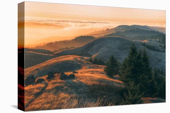 Summer Sunset at Ridgecrest Mount Tamalpais, Northern California-Vincent James-Premier Image Canvas