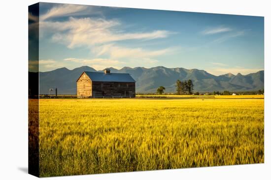 Summer Sunset with an Old Barn and a Rye Field in Rural Montana with Rocky Mountains in the Backgro-Nick Fox-Premier Image Canvas