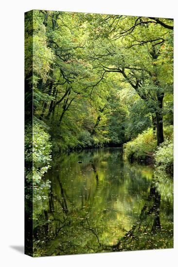 Summer trees reflected in River Teign, Dartmoor NP, Devon, UK-Ross Hoddinott-Premier Image Canvas