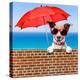 Summer Vacation Dog-Javier Brosch-Premier Image Canvas