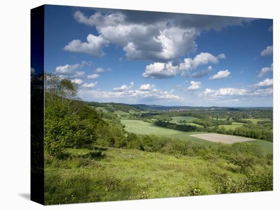 Summer View East Along the Surrey Hills, from White Down, Dorking in the Distance, North Downs, Sur-John Miller-Premier Image Canvas