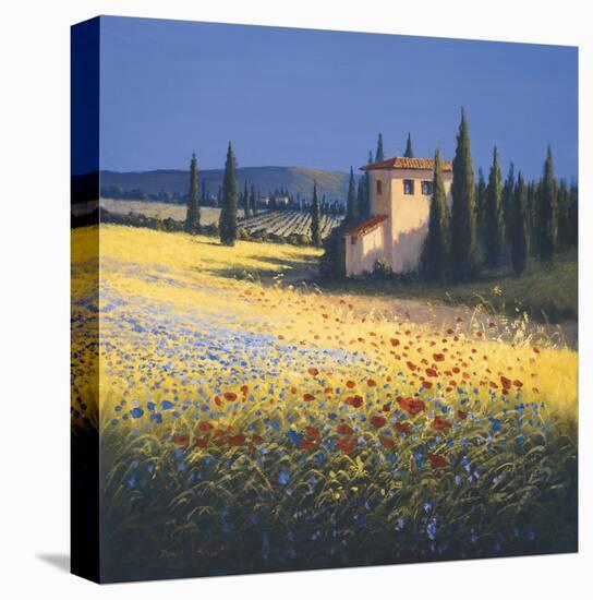 Summer Villa-David Short-Stretched Canvas