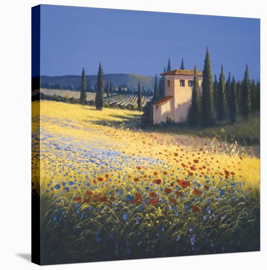 Summer Villa-David Short-Stretched Canvas