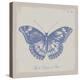 Summer Wings I-The Vintage Collection-Stretched Canvas