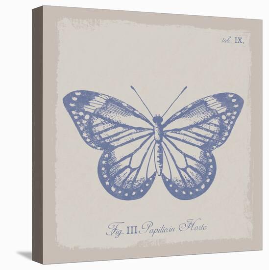 Summer Wings III-The Vintage Collection-Stretched Canvas