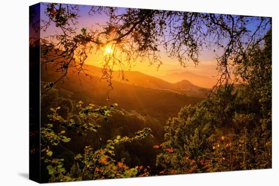 Summer Wonderland at Sunrise Oakland Hills California-Vincent James-Premier Image Canvas