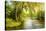 Summer Wood Lake With Trees And Bushes-balaikin2009-Stretched Canvas