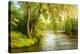 Summer Wood Lake With Trees And Bushes-balaikin2009-Stretched Canvas