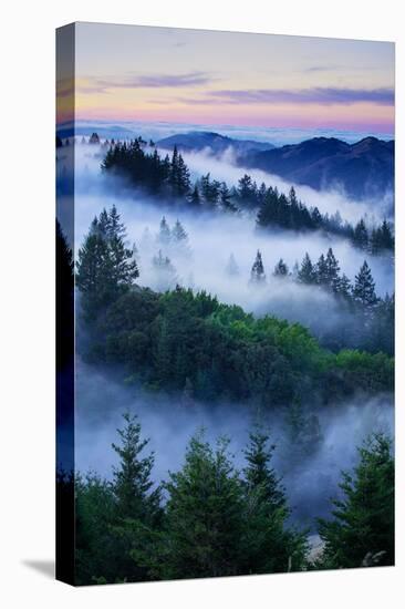 Summer World of Mount Tamalpais, San Francisco, California-Vincent James-Premier Image Canvas