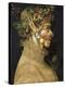 Summer-Giuseppe Arcimboldo-Stretched Canvas