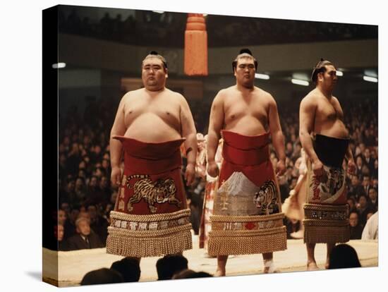 Sumo Wrestler-null-Premier Image Canvas