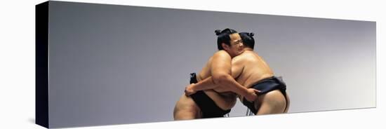 Sumo Wrestlers Japan-null-Premier Image Canvas