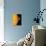 Sun And Its Planets-Detlev Van Ravenswaay-Premier Image Canvas displayed on a wall