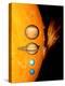 Sun And Its Planets-Detlev Van Ravenswaay-Premier Image Canvas