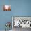 Sun Dance-Anna Polanski-Stretched Canvas displayed on a wall