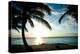 Sun Downer-Susan Bryant-Premier Image Canvas