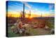 Sun is Setting between Saguaros, in Sonoran Desert.-Anton Foltin-Premier Image Canvas