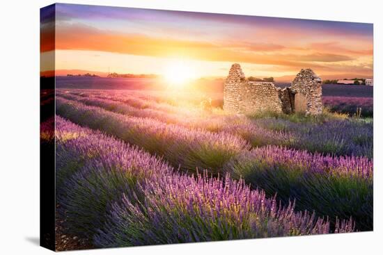 Sun Is Setting over a Beautiful Purple Lavender Filed in Valensole. Provence, France-Beatrice Preve-Premier Image Canvas